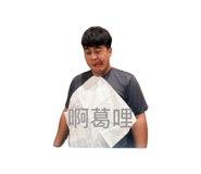 832563325