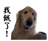 832563647