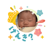 832564976