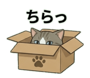 832572515