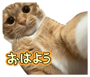832578845
