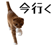 832578856
