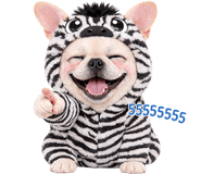 832579885