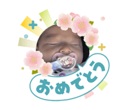 832585646
