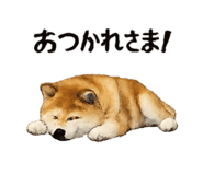 832586802