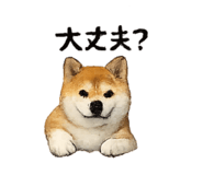 832586806