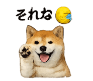 832586807