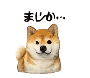832586808
