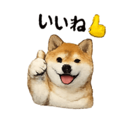 832586809