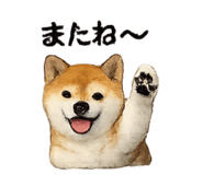 832586810