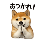 832586811