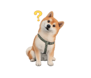 832586816