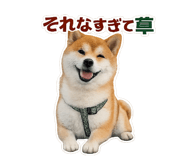 832586817