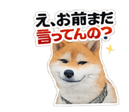 832586821