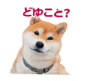 832586824