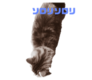 832587362