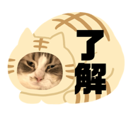 832587366