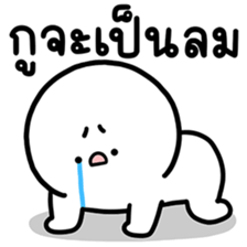 ลายที่ 31