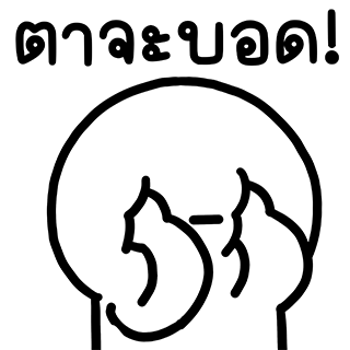 ลายที่ 23