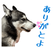 832604194