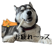 832604195