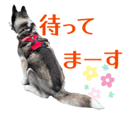 832604198