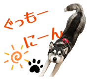 832604199