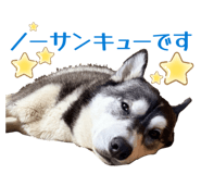 832604202