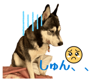 832604204