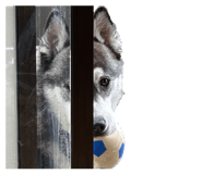 832604206