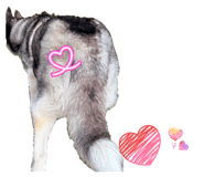 832604207
