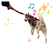 832604209