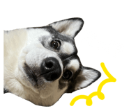 832604214