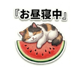832605426