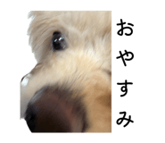 832623323