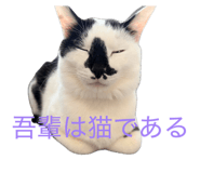 832624582