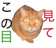 832624585