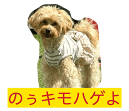 832627073