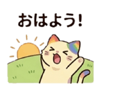 832632081