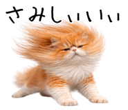 832633917