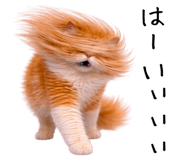 832633919