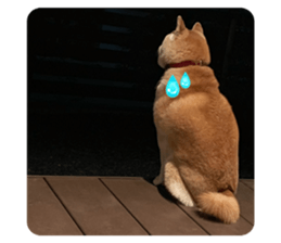 832636267
