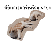 832636979