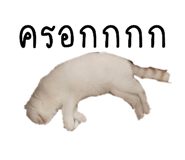 832636983
