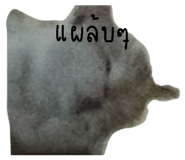 832636984