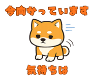 832641138