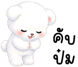 ลายที่ 47