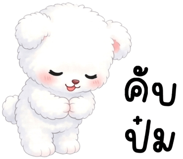 ลายที่ 24