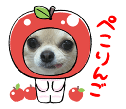 832680714