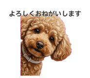 832681542